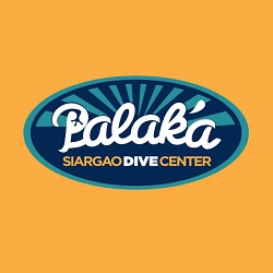 palaka logo