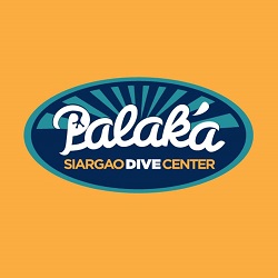 Palaka logo