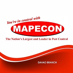 Mapecon branches