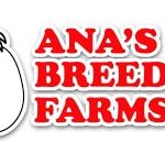 ana's breeders farms, inc. logo